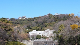 堀内公園から見る松山城
